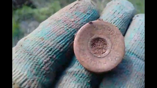 Металлопоиск 2017 с Garrett ACE № 1 смотреть онлайн