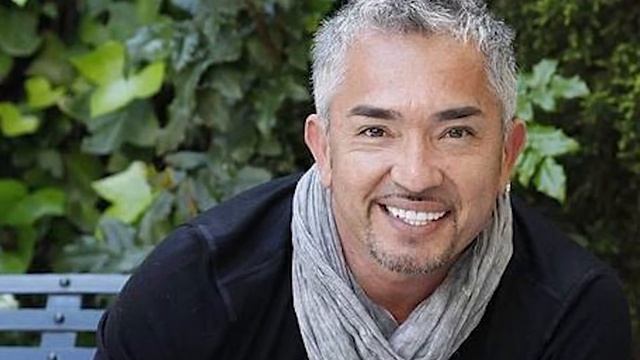 La Vida y El Triste Final de César Millán - LA TRÁGICA MUERTE DE UN PERRO AMADO смотреть онлайн