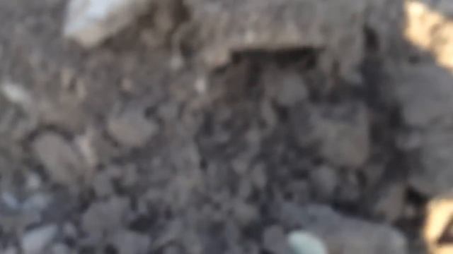 копаем новое поле чудес!!! находки от елизаветы до серебра николая 2!!! обалденный хабар смотреть онлайн