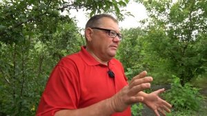 Сладкий бизнес. Как развить личное подсобное хозяйство, выращивая ягоды