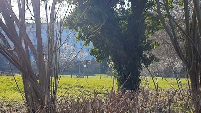 #194 ХЛЕБ И ЗРЕЛИЩА/ НАГУЛЯЕМ АППЕТИТ/ И ПОСТНЫЙ БОРЩ МОЖЕТ БЫТЬ ЩЕДРЫМ - ВАРИЛА С ДУШОЙ