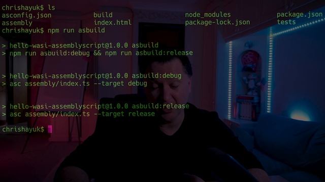 introduction to wapm (webassembly package manager) tutorial using wasmer, assemblyscript and as-was смотреть онлайн