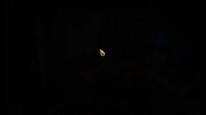 Затерянные земли 3. Проклятое золото прохождение бонусной главы