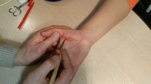 Су-Джок-Урок - 1. Основная Система Соответствия.