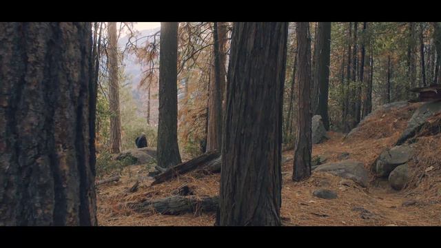 Убежище | Видеоролики на духовные темы смотреть онлайн