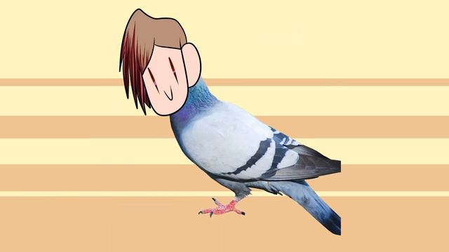 Курлык курлык меме | Annoying Pigeon Meme смотреть онлайн