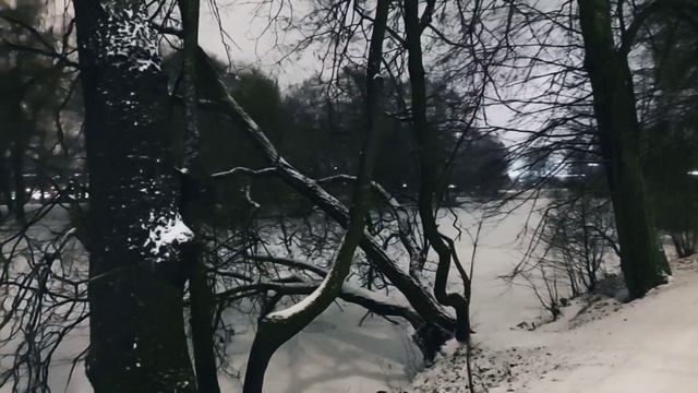 VID 20221205 041918 Шоссе 1904 (А. Белый)...Павел Васильев Лахтинский смотреть онлайн