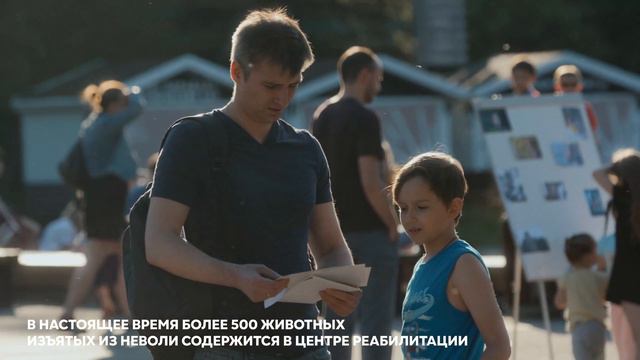 Часто радость людей – это страдания животных #живыенеигрушки