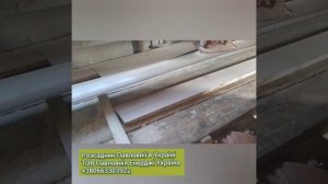 Павловния лучше, чем сосна для производсва мебели. Древесина Павловнии. Мнение эксперта!