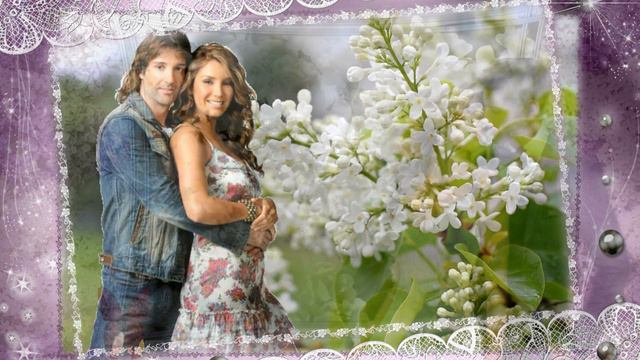 Сирень белая смотреть онлайн