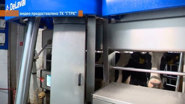 Сельское хозяйство в Пермском крае