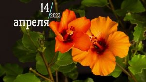 ЦЕРКОВНЫЙ ПРАЗДНИК 14 АПРЕЛЯ 2023 ЧТО НЕЛЬЗЯ ДЕЛАТЬ,ПРИМЕТЫ, ЧТО МОЖНО ДЕЛАТЬ