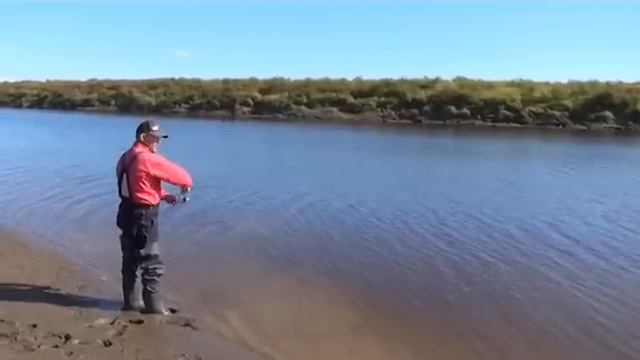 Ловля трофейной щуки-1 часть ,Дмитрий Зюзин и Black Hole Swift смотреть онлайн