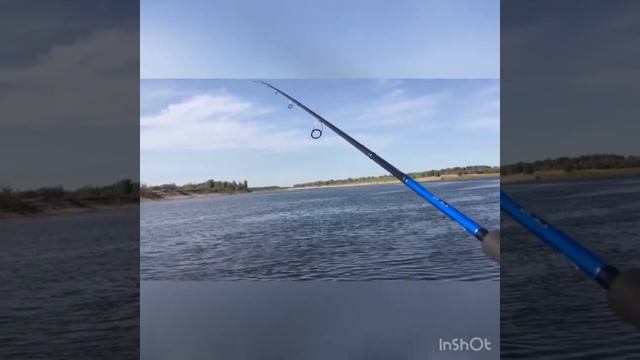 Огромный окунь на джиг! Relax Kopyto l320. На спиннинг majorcraft vierra. Рыбалка на Ахтубе утром! смотреть онлайн