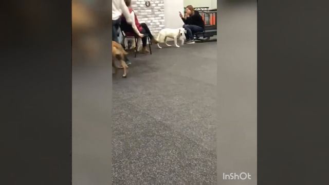 Holli Bob Force More Bar-On смотреть онлайн