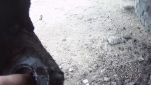 Шкворни полноприводной газели на роликовых подшипниках после 2.5 лет активной эксплуатаци