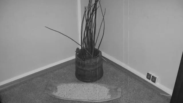 Детские глаза за колючей проволокой смотреть онлайн