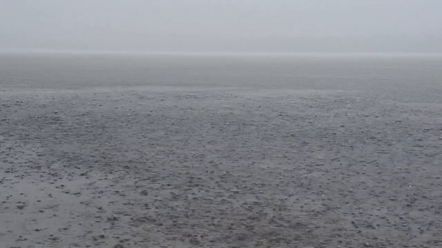 Heavy Rain and Thunder to Sleep Immediately. Thunderstorm for Insomnia Relief.