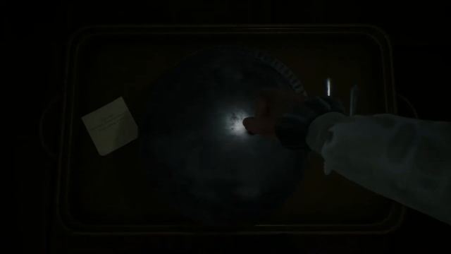 Remothered: Broken Porcelain прохождение #1 (Без комментариев/no Commentary)