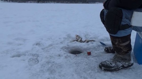 Самоклёв: просто и результативно. "All-in Fishing". Вып.16.