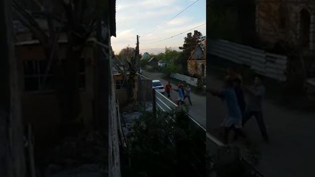 Сломали дерево смотреть онлайн