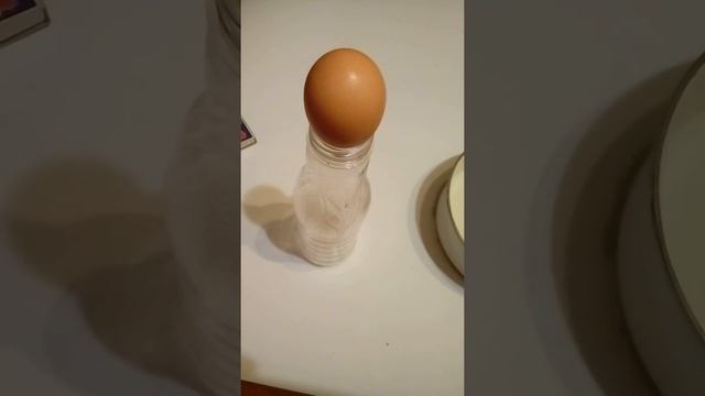 Как яйцо засунуть в бутылку смотреть онлайн