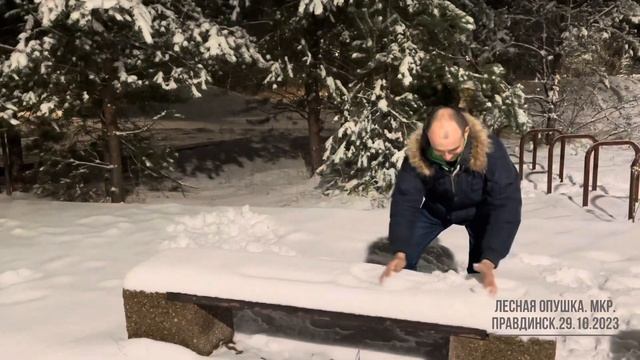 Первый снег для умывания молодости. 29.10.2023 Мкр. Правдинск. Лесная опушка. От Дежурного. смотреть онлайн