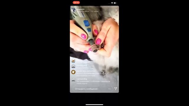 Секреты выставочного маникюра. смотреть онлайн