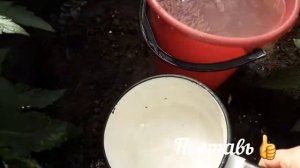 Как применять .Для чего нужен Сульфат калий! How to use .Why do you need Potassium Sulfate!