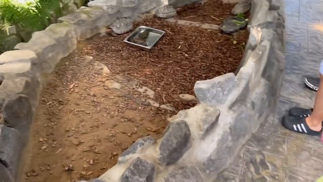 Всем привет! Мы рады приветствовать вас на нашем канале! #korea #жизньвкорее #корея смотреть онлайн