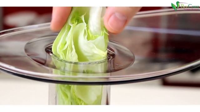 Что умеет горизонтальная шнековая соковыжималка. Sana-707 во всей красе! смотреть онлайн