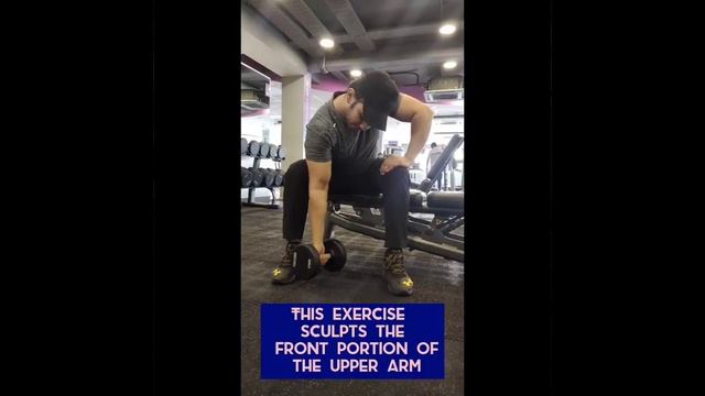concentration curl | concentration curls with dumbbells | concentration curl biceps | #bicepsworkou смотреть онлайн