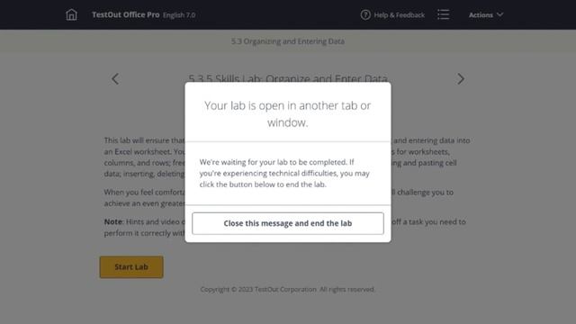 Organize and Enter Data Lab 5.3.5 MICROSOFT EXCEL смотреть онлайн
