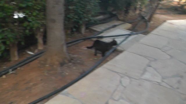 Отдых в Айя-Напе, Кипр. Влог: сравниваем пляжи Pernera и Sendy bay, отель Panas, улица Nissi avenue смотреть онлайн