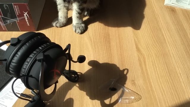 HyperX Cloud Core обзор, тестирование и рекомендации по настройке геймерской гарнитуры