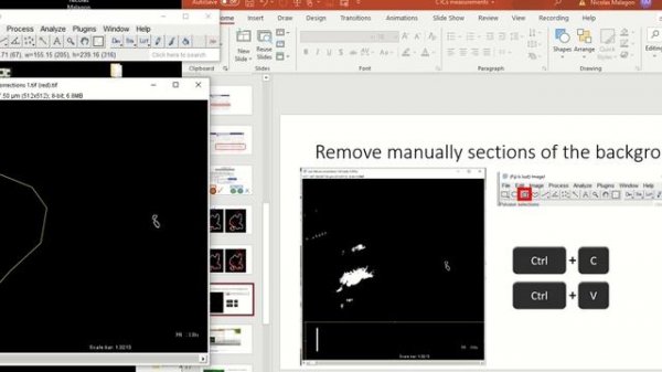 4 how to manually remove background in ImageJ