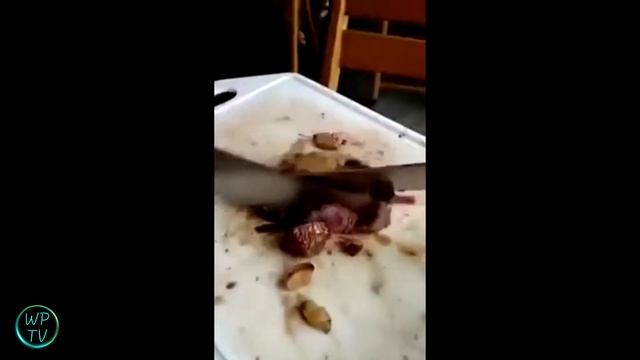 Новые Видео Приколы HD Январь 2017 / Смешное видео смотреть онлайн