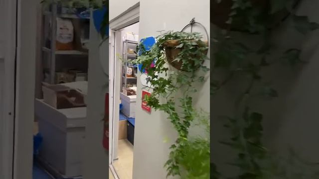 Сдам коммерческое помещение, 20 м² + 2-3 м2, Парашютная 34 смотреть онлайн