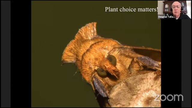 Doug Tallamy: Nature’s Best Hope (April 2021) смотреть онлайн