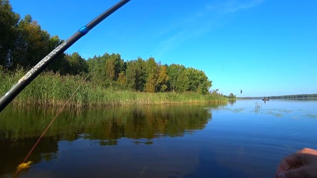 Ловля хищника на спиннинг.Уловистый воблер Pontoon 21 Cheerful SP. смотреть онлайн