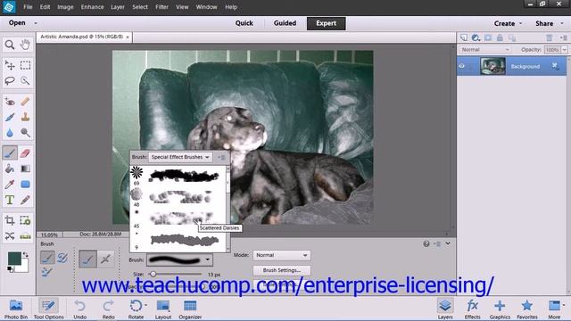 Adobe Photoshop Elements 12 Tutorial Brush Settings Employee Group Training 7.1 смотреть онлайн