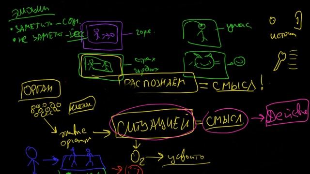 Как эмоции могут разрушать наше тело. смотреть онлайн