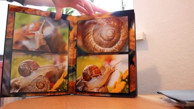 Моя первая фото книга