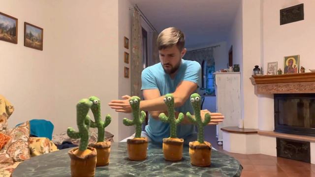 Cypis - Kaktus 25 Gram