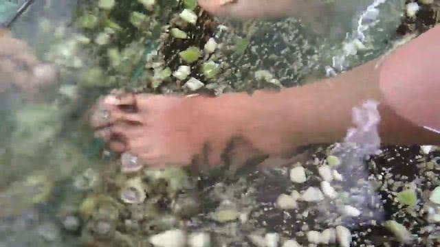 Фиш - пилинг. Терапия рыбками Гарра Руфа смотреть онлайн