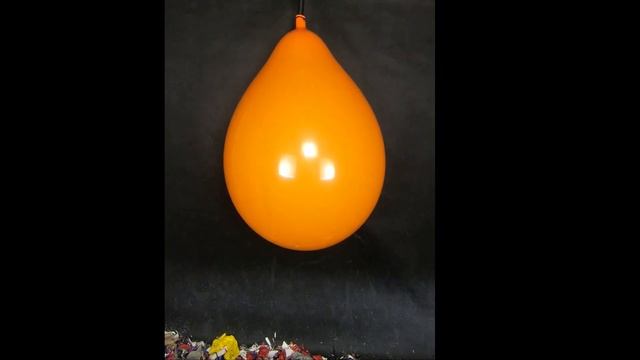 Balloon Blowing And Popping #57 (Qualatex 24