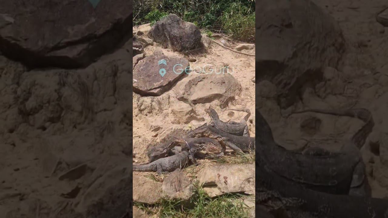 Авторская совместная поездка "КО ЧАНГ" - для своих. #экскурсиивпаттайе смотреть онлайн