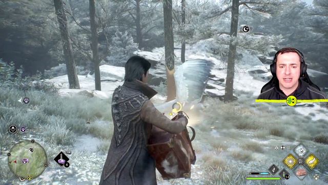 Hogwarts Legacy How to Catch a Hippogriff смотреть онлайн