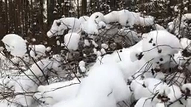 Жена поехала в отпуск со своей подругой, но муж узнает, что уехала она не с ней. Истории измен смотреть онлайн
