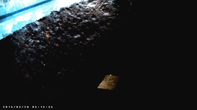 Вид внутри гнезда смотреть онлайн